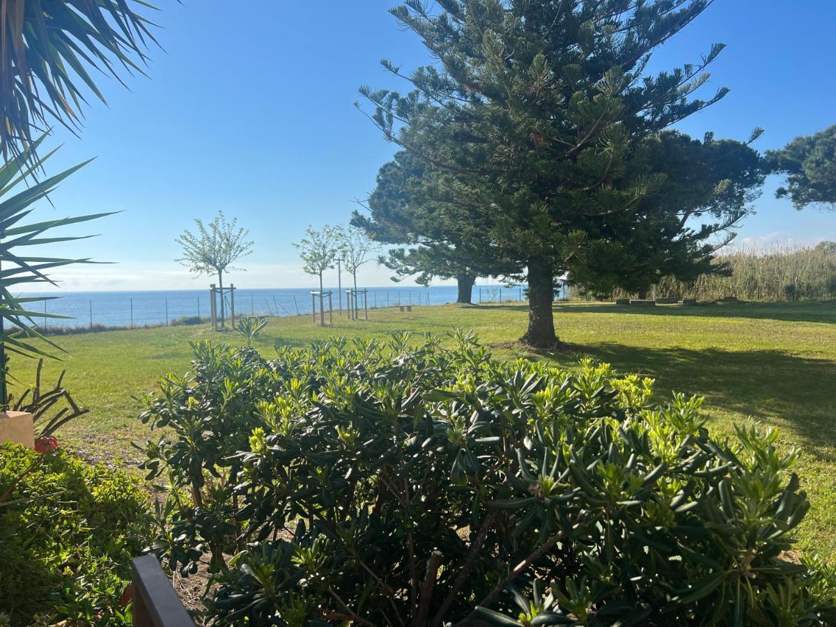 Appartement N 216 Moriani Plage Santa-Lucia-di-Moriani Dış mekan fotoğraf